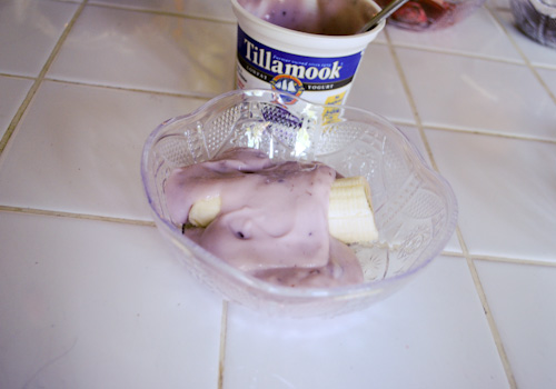 Tillamook Yogurt Sundaes_3