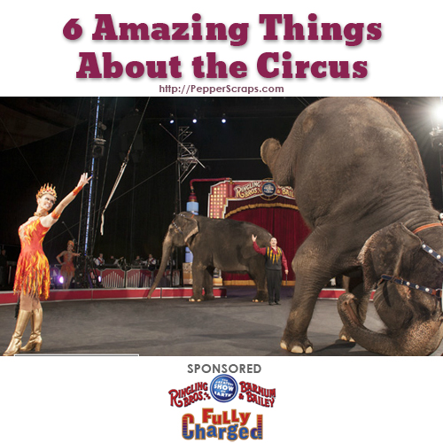 6 Amazing Thing About The Circus
