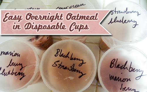 Easy Overnight Oatmeal in Disposable Cups – Pepper Scraps