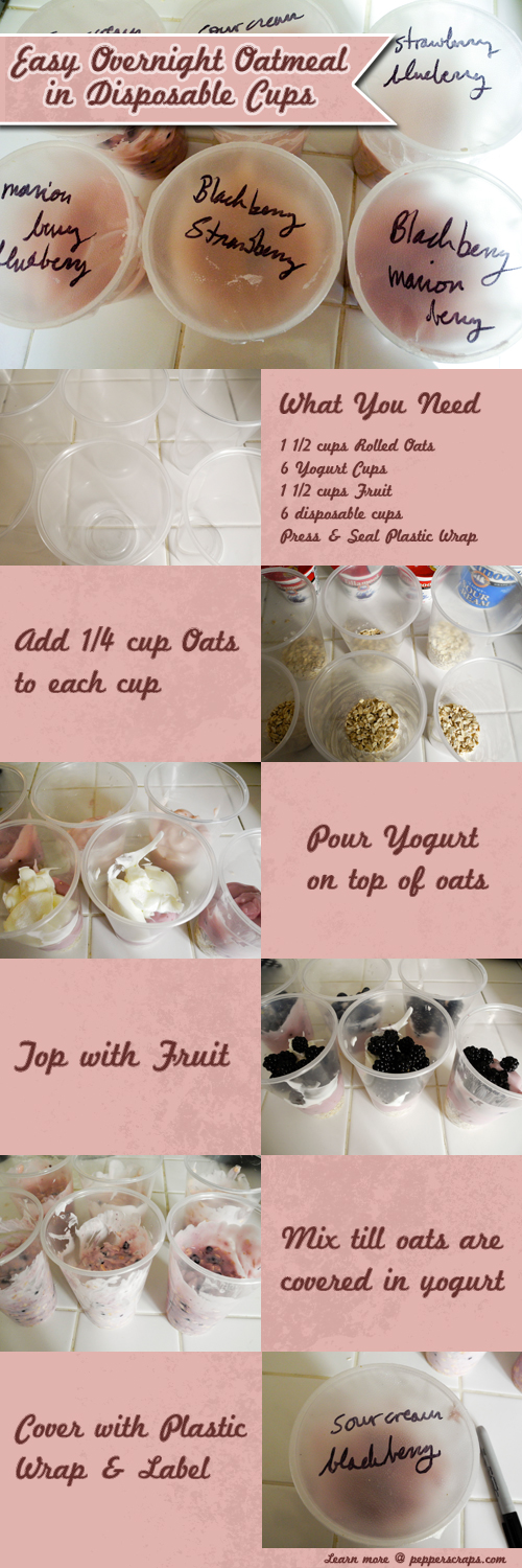 Easy Overnight Oatmeal in Disposable Cups – Pepper Scraps