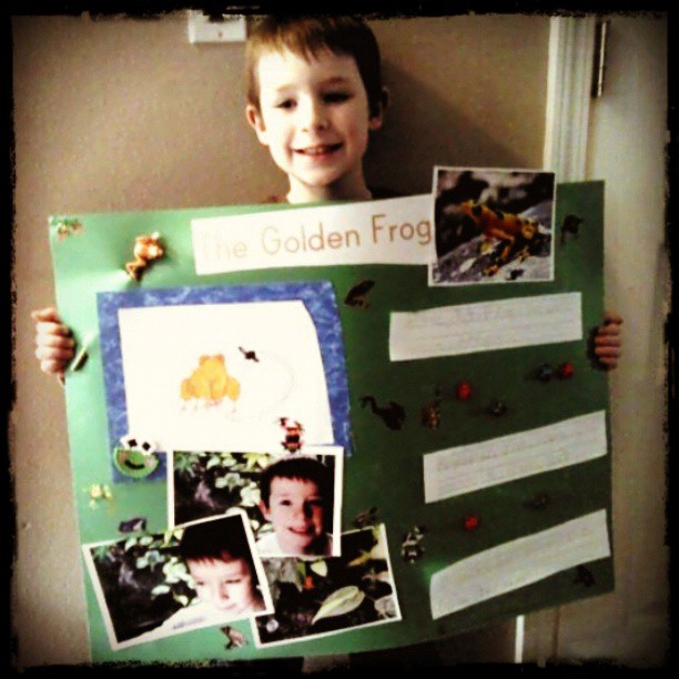 Zane's Frog Project