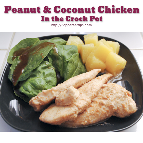 Peanut and Coconut Chicken in the Crock Pot