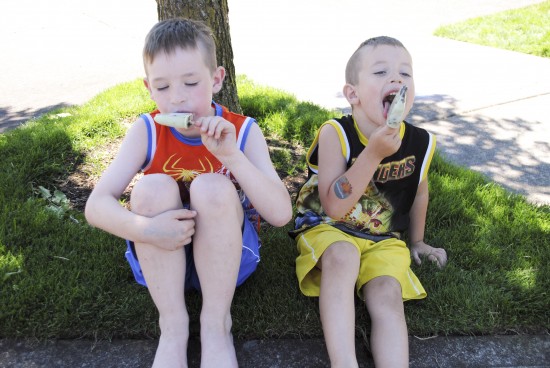 Healthy Frozen Pops