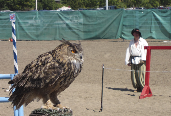 Ren Faire_4