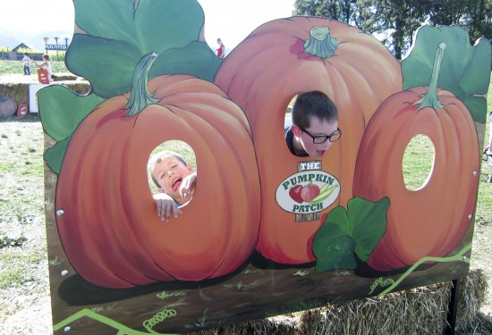 pumpkinpatch_10