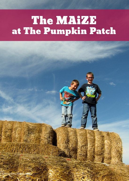 the MAiZE at The Pumpkin Patch on Sauvie Island