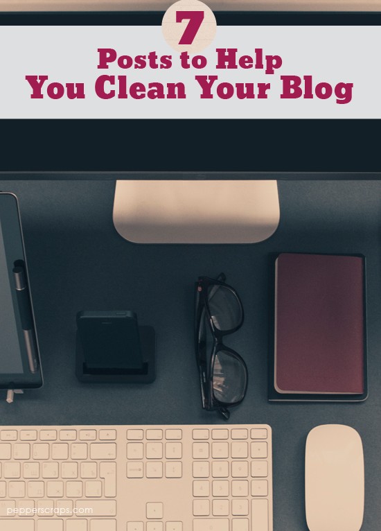 7-Posts-to-Help-you-clean-your-blog