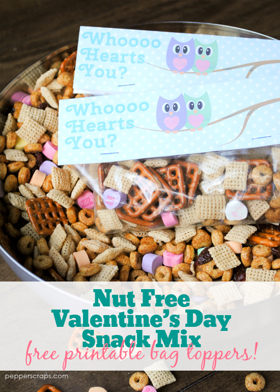 Nut Free Valentine’s Day Snack Mix {Free Printable Snack Bag Toppers