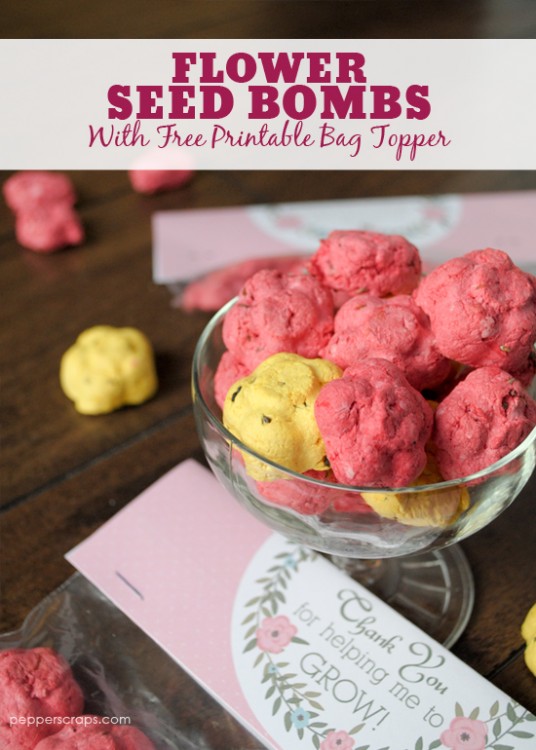 Flower Seed Bombs with Free Printable Pepper Scraps