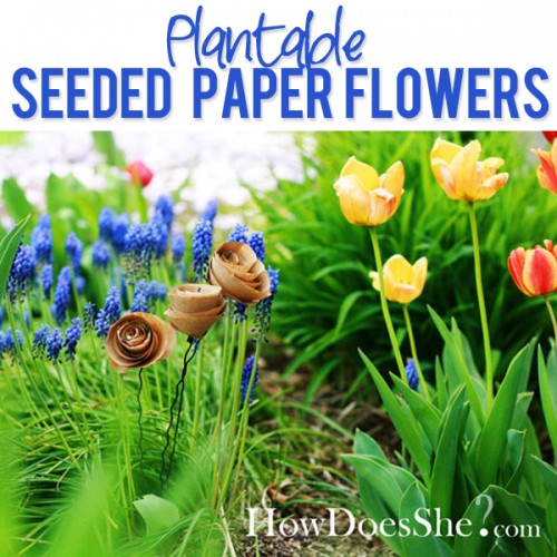 so-cool-Plantable-Seeded-Flowers